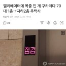 엘리베이터에 목줄 낀 개 구하려다 70대 1층→지하2층 추락사 이미지