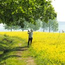 한강시민공원 이미지