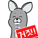 논산애견 이미지