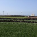 하우목동항 이미지