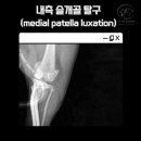 삼화 우수한 동물병원 이미지