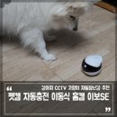 펫캠 강아지 CCTV 고양이 자동장난감 자동충전 이동식 홈캠 이보SE