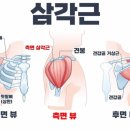 토니바디PT 용마점 이미지