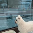 플로이몽 이미지