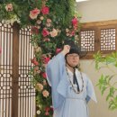 지지배배스튜디오 이미지