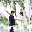 호텔 마에스트로 이미지