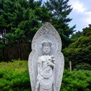 최씨농산