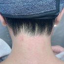 분당-233 이미지