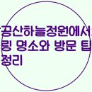 하늘정원 티스토리