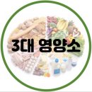 (주)자은 | 진해헬스] [진해피티] [진해PT] 우리 몸에 필요한 3대 영양소에 대해서 알아보자!![404피트니스진해자은점]