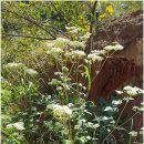 비오람요양병원 이미지