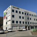 메디칼성심약국 네이버블로그