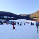 인라인 스케이팅 | 곤지암 인라인스키 난이도 처음 타본 후기 인라인스키 강습 렌탈 데븐