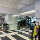 다모이세 이미지