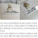 멍개식당