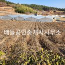 호동리 이미지