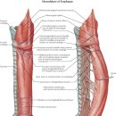 이상동물병원 이미지