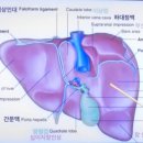 종부테라피 이미지