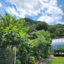 지리산에덴하우스 이미지