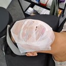 페니터치 회기역점