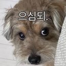 영화상사 | 상사에게 악귀가 들린게 틀림없어! - 직장 상사 악령 퇴치부 후기