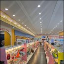 강아지랑 고양이 이미지