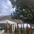 (주)파스 | [진주 카페] 귀여운 곰돌이케이크가 맛있는 진주대형카페 파스로 방문후기