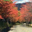 하늘빛민박 이미지