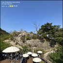 더 숲Ⅱ 이미지