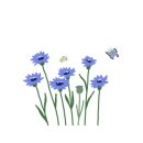 꽃보다 인생 원예 테라피 이미지