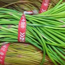 승리농장 이미지