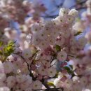 선흘1리경로당 이미지