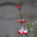 15. 시련2 이미지