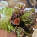 만호 | [포승/평택항 소갈비살 맛집 추천] &#34;황제 갈비살 만호점&#34; 방문 후기 (데이트, 가족외식)