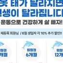 헤이데이 네이버블로그