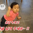 특징주 점검)녹십자웰빙, 이디티, 미코, 우리기술, 디케이락 등 상승 재료체크