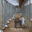 상근농장 이미지