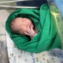 한마음세탁 | 나의 첫 임신기록(2)ㅣ임신후기부터 창원한마음병원 40주2일 유도분만 출산성공까지