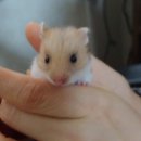 바이오농장 이미지