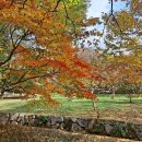 계림마을 이미지