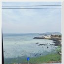 인더오조 이미지