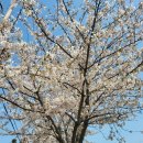 색달동-10 이미지