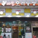 황토오리농장 이미지