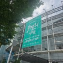 다양한 막걸리와 전통주 시음하고 만취하고 나온 막걸리 엑스포 막스포 2025 후기