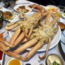 중부야채 이미지