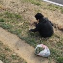 석수역_하 이미지