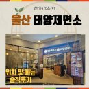 제가 반한 태양제면소 짬뽕수제비는 어떤 수제비일까요 내돈내산 솔직후기