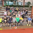 용인대용전태권도 이미지