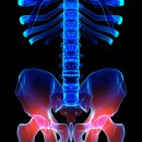 일등정형외과의원 이미지