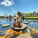 월드여행사 이미지